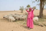 Rajasthani Shephered Girl