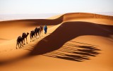 A journey in the Sahara