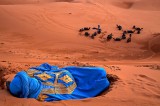 Sleep in the desert